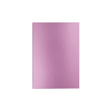 Σημειωματάριο Ριγέ A5/15X21 120 φύλλα Ροζ CARAN D'ACHE Colormat-X