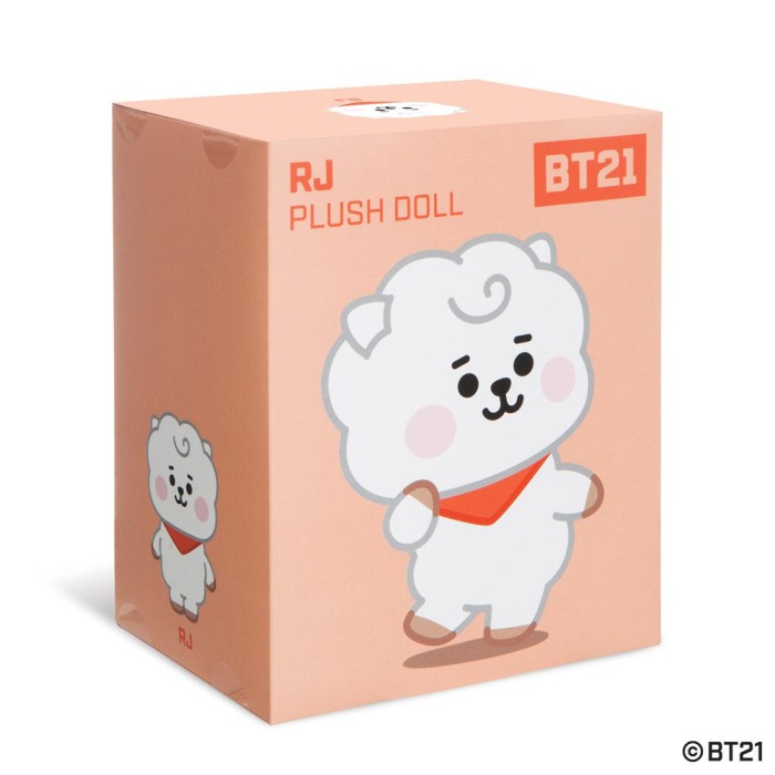 Λούτρινο Κουκλάκι σε Συσκευασία Δώρου BT21 Baby RJ 20εκ
