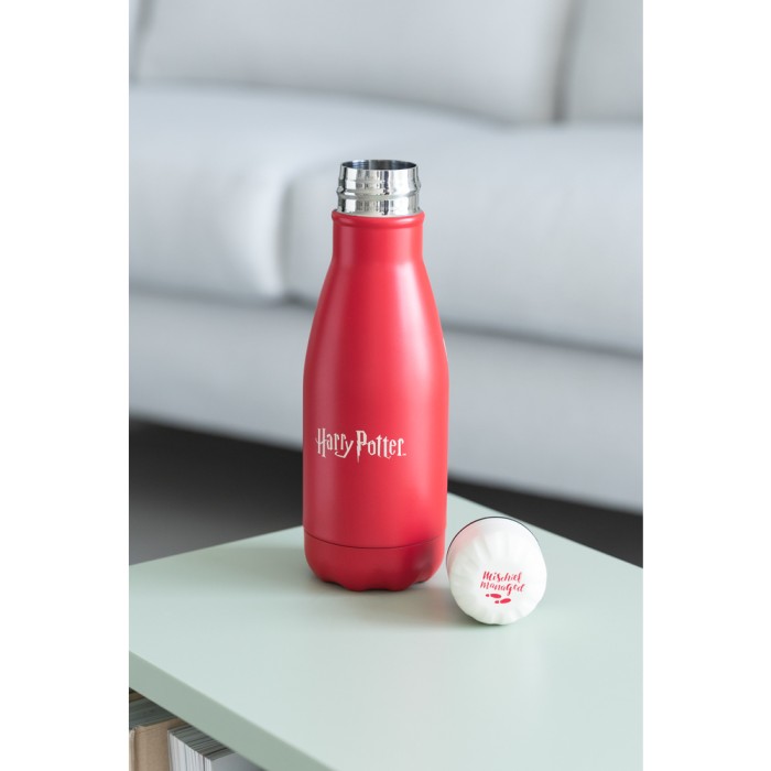 Μεταλλικό Μπουκάλι Hot&Cold 260ml HARRY POTTER