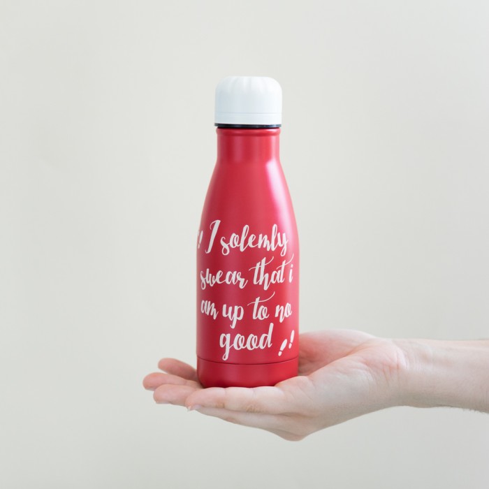 Μεταλλικό Μπουκάλι Hot&Cold 260ml HARRY POTTER