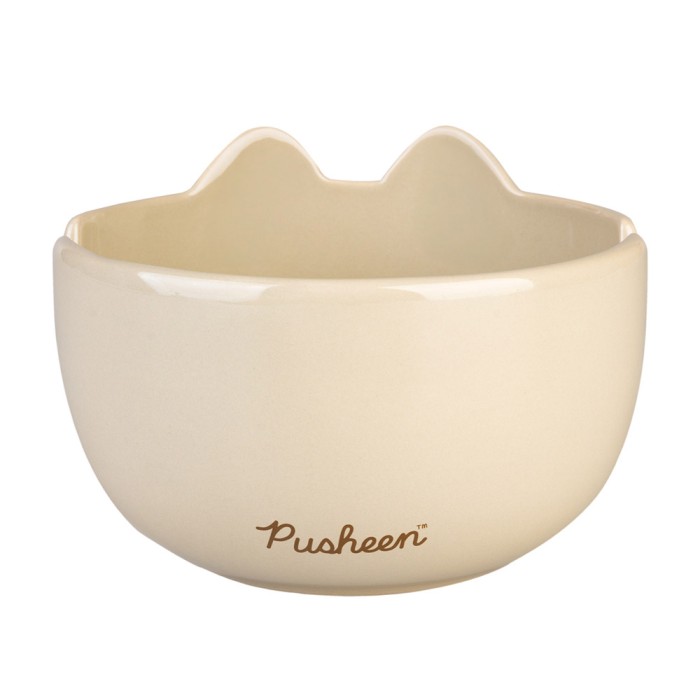 Μπολ (και) για Ράμεν με Chopsticks 900ml PUSHEEN