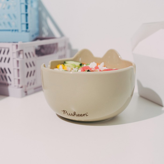 Μπολ (και) για Ράμεν με Chopsticks 900ml PUSHEEN