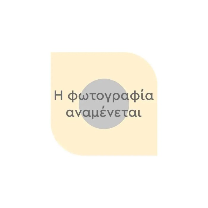 Σταντ με 24 Συλλεκτικές Κονκάρδες (Mystery Box) HARRY POTTER SERIES 1