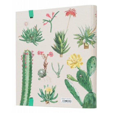 Premium Κλασέρ 2 κρίκων με Λάστιχο BOTANICAL Cacti by Kokonote