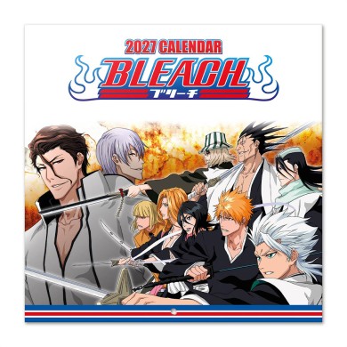Ημερολόγιο Τοίχου 16 Μηνών 2027 30X30εκ BLEACH