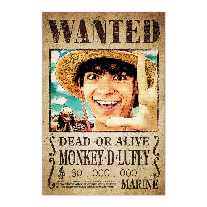 Αφίσα 61Χ91,5εκ NETFLIX ONE PIECE Wanted Monkey D. Luffy