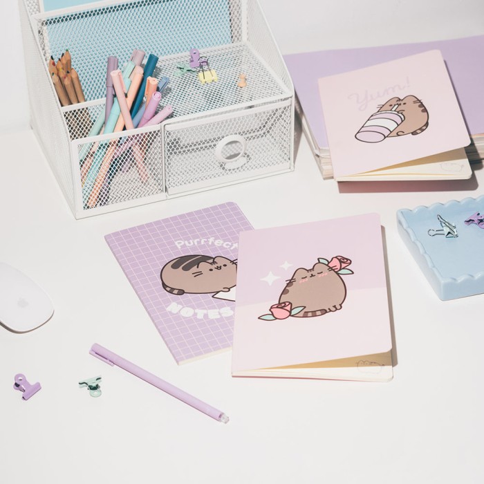 Σετ 3 Τετραδίων Α5/15X21 PUSHEEN Moments Collection