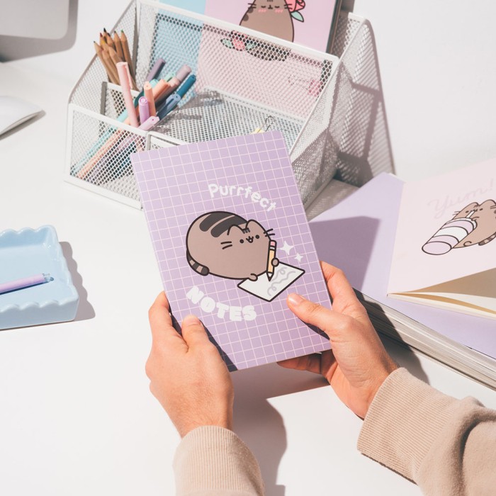 Σετ 3 Τετραδίων Α5/15X21 PUSHEEN Moments Collection