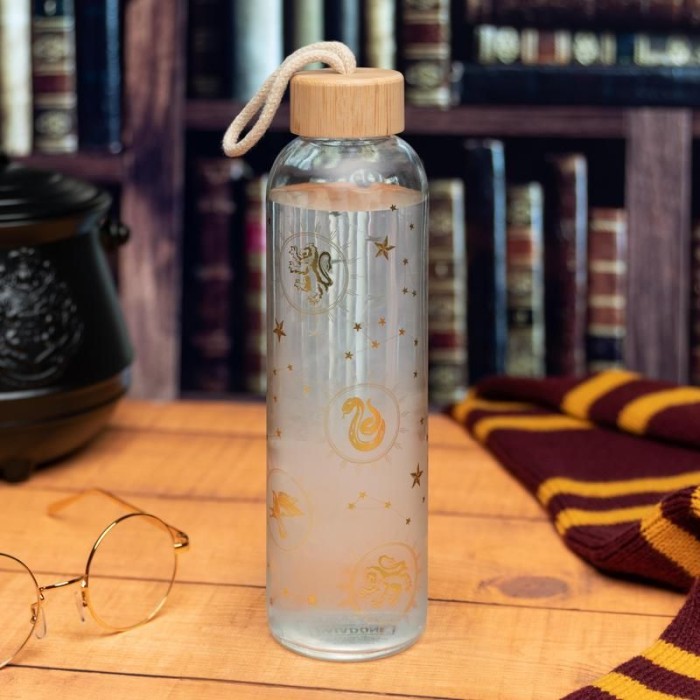 Γυάλινο Μπουκάλι 600ml HARRY POTTER Constellations
