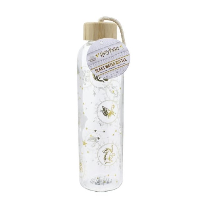 Γυάλινο Μπουκάλι 600ml HARRY POTTER Constellations