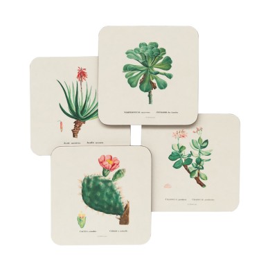 Σετ 4 Σουβέρ BOTANICAL Cacti by Kokonote