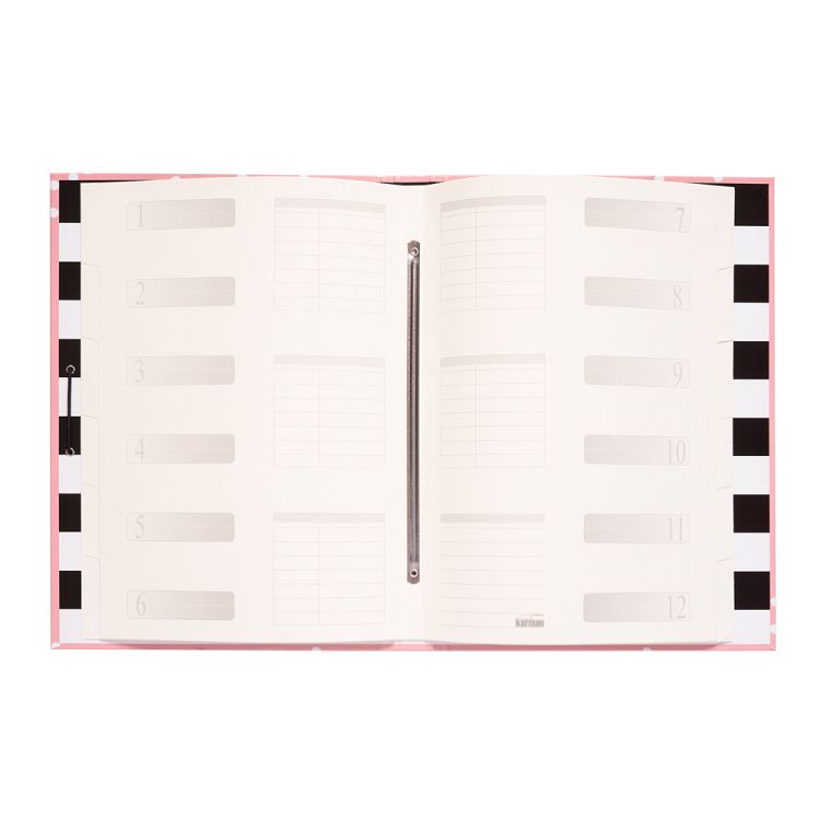Cardboard File Folder with Elastic Cords GLITTER Stars  