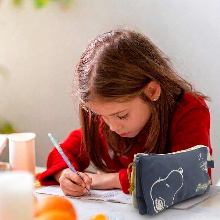 SNOOPY Comic Collection Triple Pencil Case