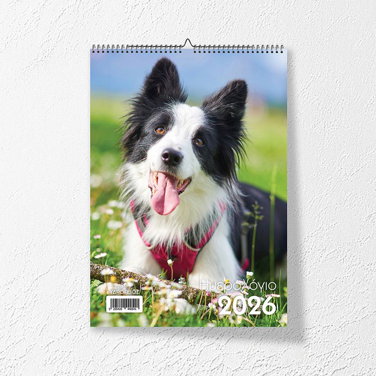 Month Planner 2026 17Χ24, 3 designs with Animals