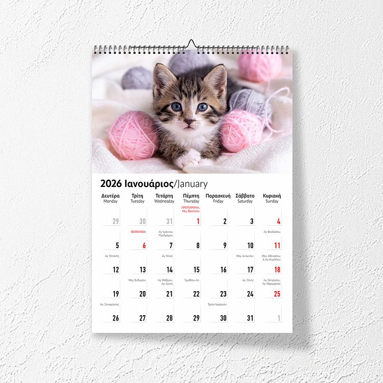 Month Planner 2026 17Χ24, 3 designs with Animals