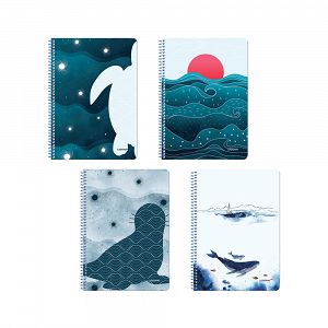SEA Wirelock Notebook B5/17Χ25 2sub 60sh 10pcs
