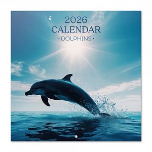 Ημερολόγιο Τοίχου 2026 30X30εκ DOLPHINS