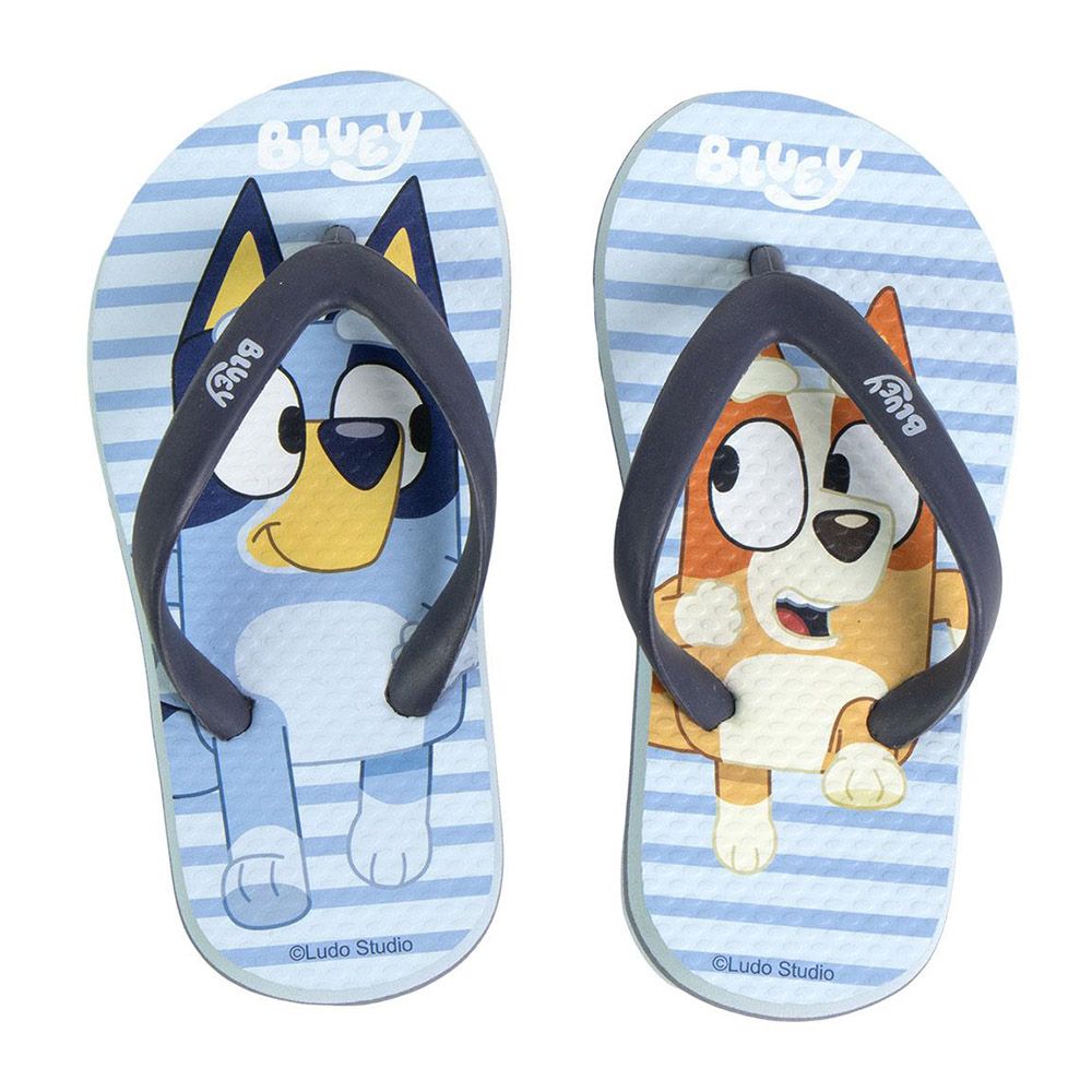 Παντόφλες Flip Flops από EVA BLUEY