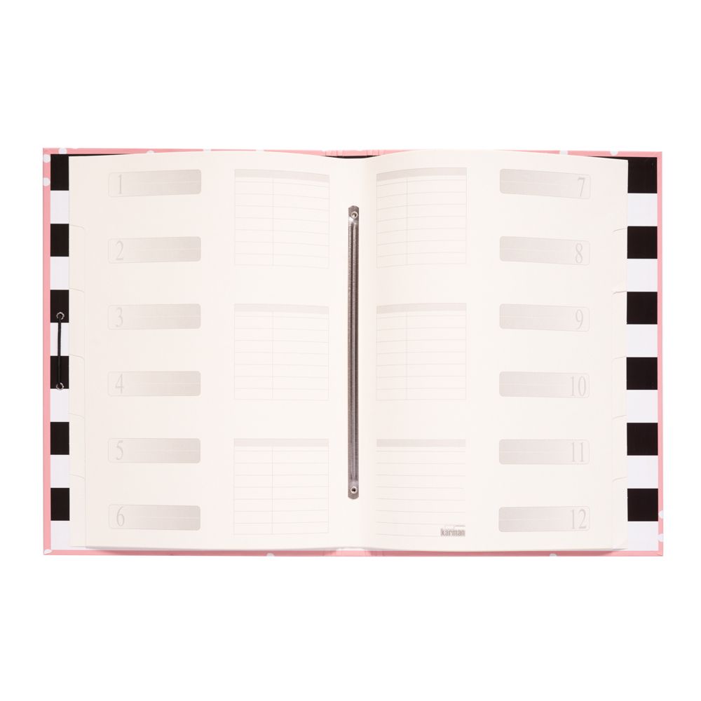 Cardboard File Folder with Elastic Cords GLITTER Stars  