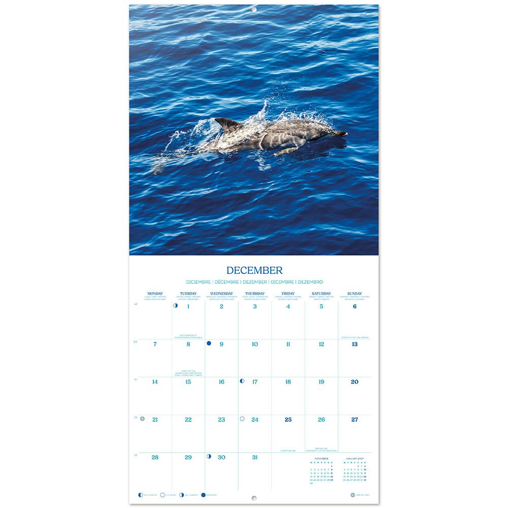 Calendar 2026 30X30cm DOLPHINS