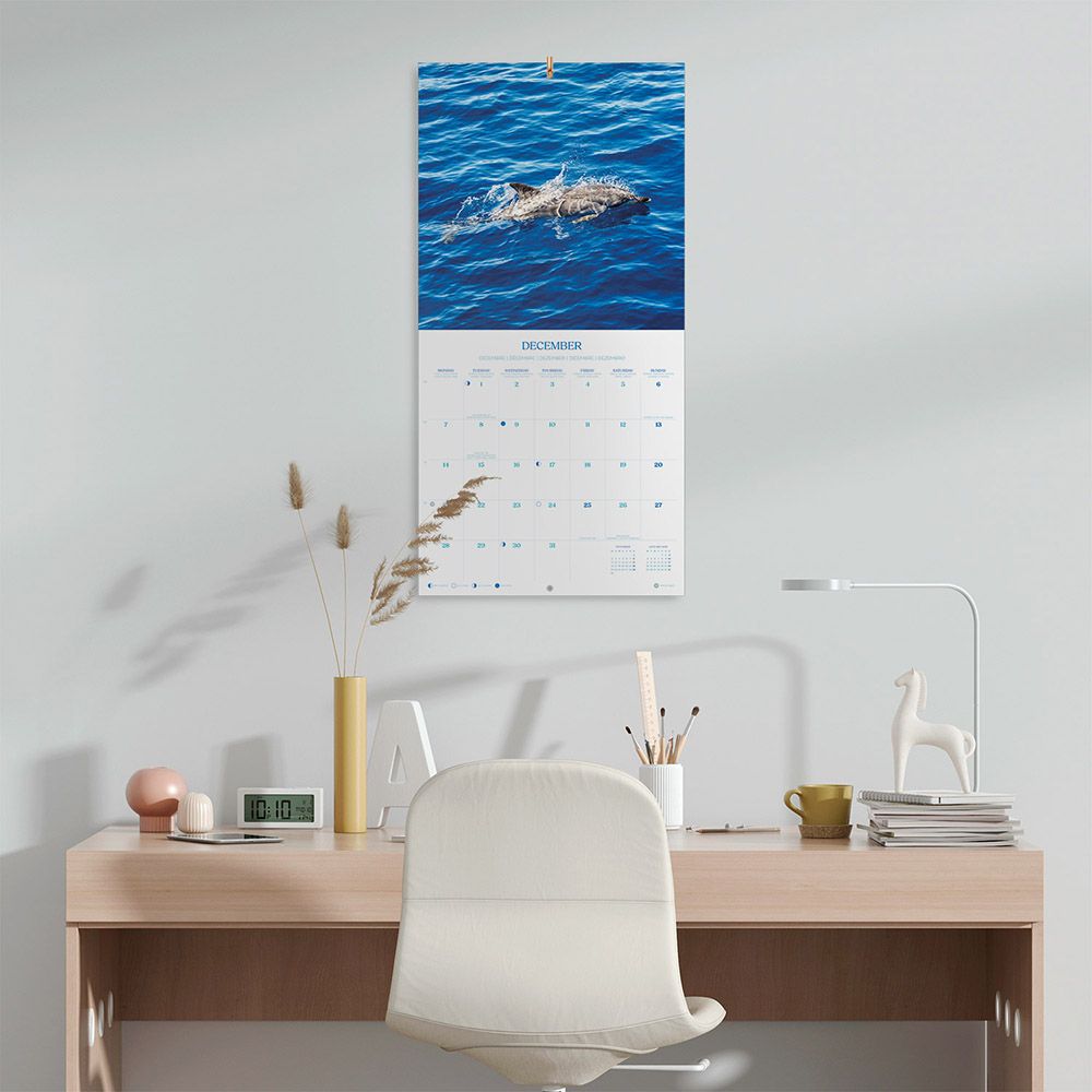 Calendar 2026 30X30cm DOLPHINS