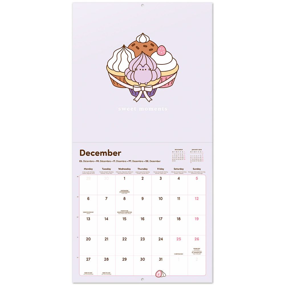 Wall Calendar 2027 30X30cm PUSHEEN