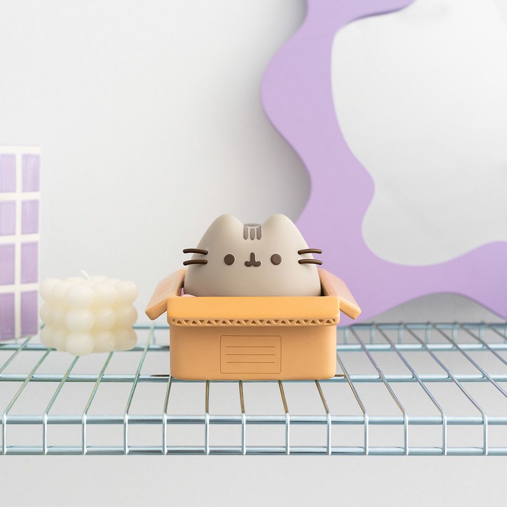Money Box PUSHEEN