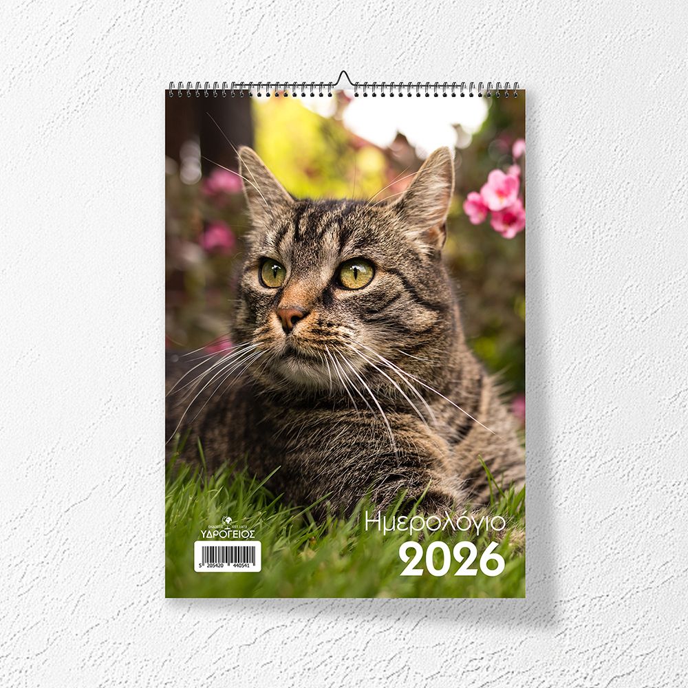 Month Planner 2026 17Χ24, 3 designs with Animals